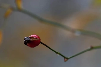до -2 в узбекистане, дожди в кыргызстане: погода в среду, 16 октября 2024