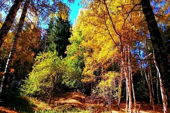 местами дожди и заморозки: погода в казахстане на предстоящую неделю, 16 — 22 сентября 2024