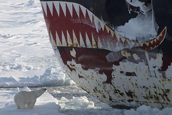 Ледяное богатство России: за что действительно идет война в мире 