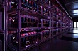 в кыргызстане из-за дефицита электроэнергии отключают майнинговые фермы 