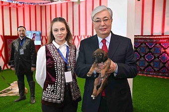 Токаев берёт не борзыми, но тазы