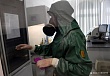 чумная угроза у границ монголии: зафиксирована высокая активность смертельной инфекции