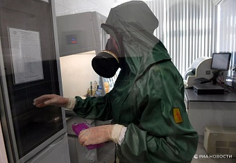 чумная угроза у границ монголии: зафиксирована высокая активность смертельной инфекции