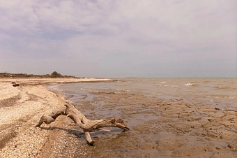 токаев на саммите «шос плюс» призвал к срочным действиям по спасению каспия