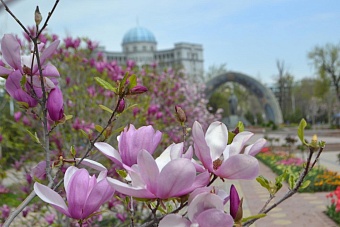 жара даст небольшую передышку в центральной азии в четверг, 15 мая 2025
