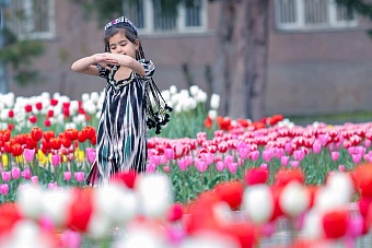 погода, в странах центральной азии, 25 октября 2023 года: в алма-ате +17, в душанбе +26