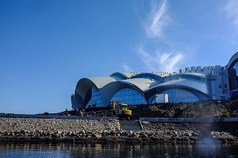 узбекистан и приморский океанариум договорились о сотрудничестве в сфере науки и образования