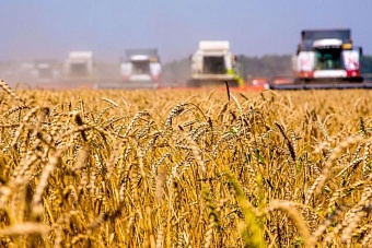 башкирия экспортировала 279 тонн отрубей в казахстан и узбекистан