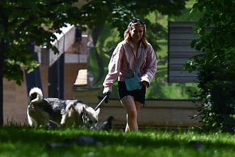 жара усилится в узбекистане и кыргызстане: погода в среду, 15 мая 2024