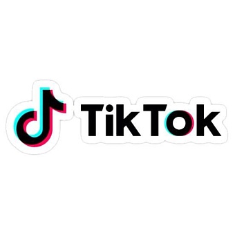 в казахстане женщине вынесли приговор за видео в tiktok с оскорблением русских
