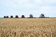 казахстан стал ключевым партнером ирана в аграрном секторе