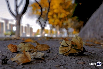 погода, в странах центральной азии, 24 ноября 2023 года: в астане +3, в ташкенте +12