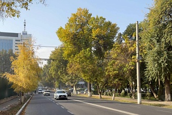 ясная и прохладная погода установится в узбекистане и кыргызстане: прогноз на пятницу, 18 октября 2024