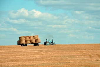 сельхозпроизводителям казахстана выделят средства на покупку дизтоплива и гсм