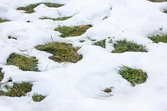 резкое похолодание, гололед и штормовой ветер придут в казахстан: погода в пятницу, 11 октября 2024