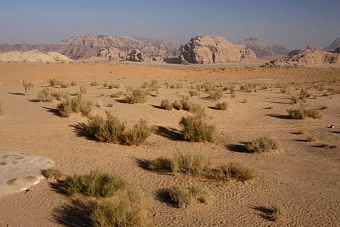 Европейская формула «солнце, ветер и вода - наши лучшие друзья» не подходит для удовлетворения растущих потребностей Центральной Азии