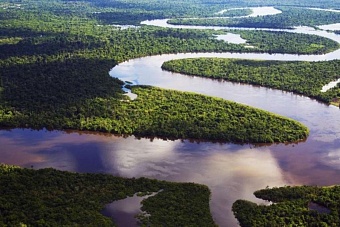 Граждан Узбекистана нелегально везут в США через воды Амазонки и леса Боливии