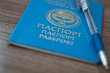 дипломатические и консульские учреждения кыргызстана будут помогать этническим кыргызам
