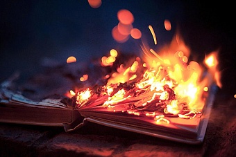 страны организации исламского сотрудничества призвали предотвращать случаи сжигания корана