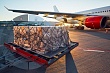 В Узбекистане объем  грузовых авиаперевозок  вырос на 17,2%