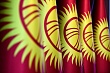 Парламент Кыргызстана проголосовал за изменение рисунка национального флага